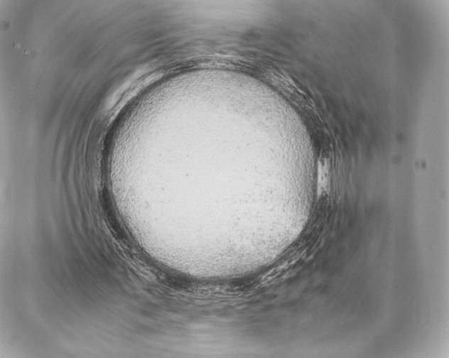 X0000087360291200705111652