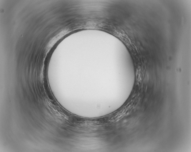 X0000087360292200705111652