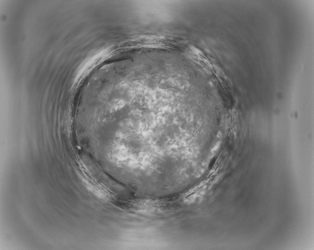 X0000087360293200705111652