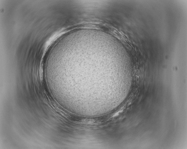 X0000087360294200705111652