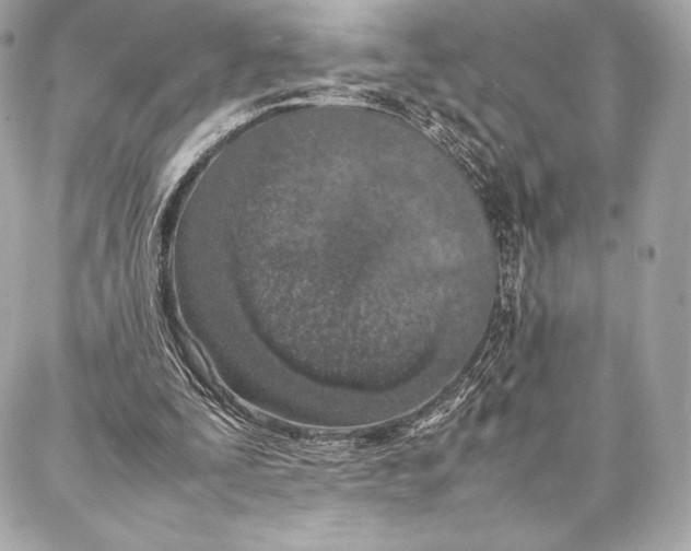 X0000087360295200705111652