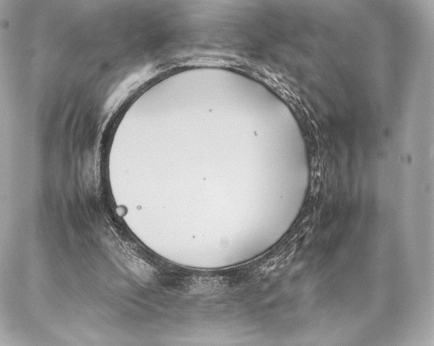 X0000087360296200705111652