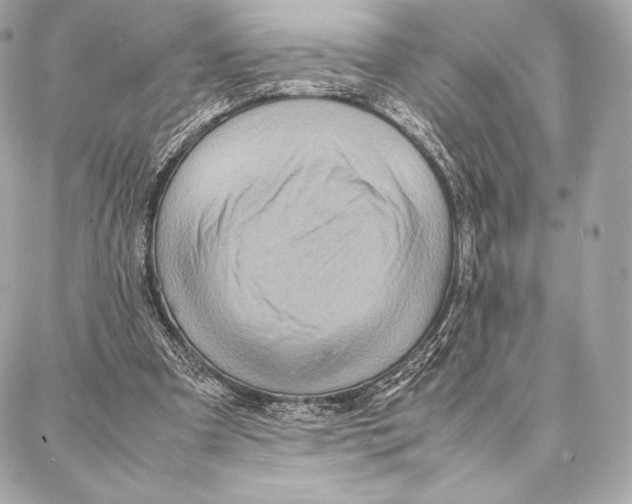 X0000087360297200705111652