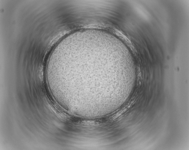 X0000087360298200705111652