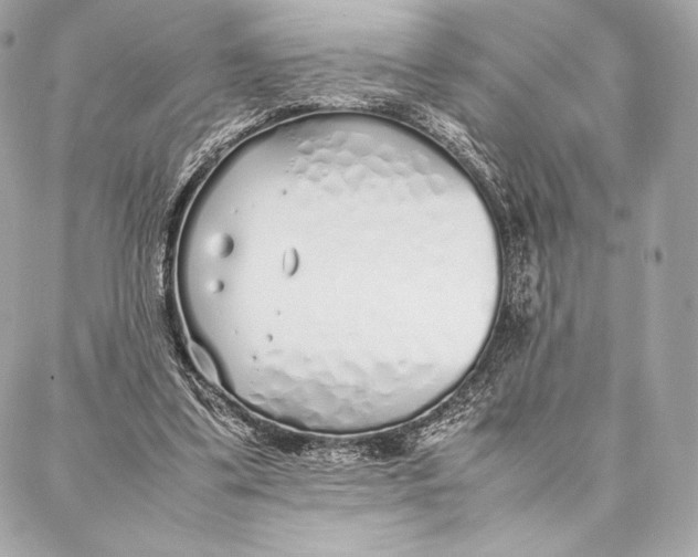 X0000087360299200705111652