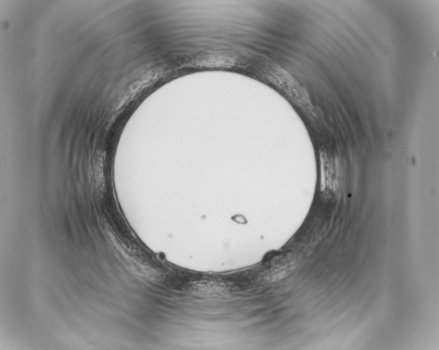 X0000087360300200705111652