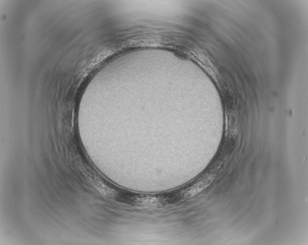 X0000087360301200705111652