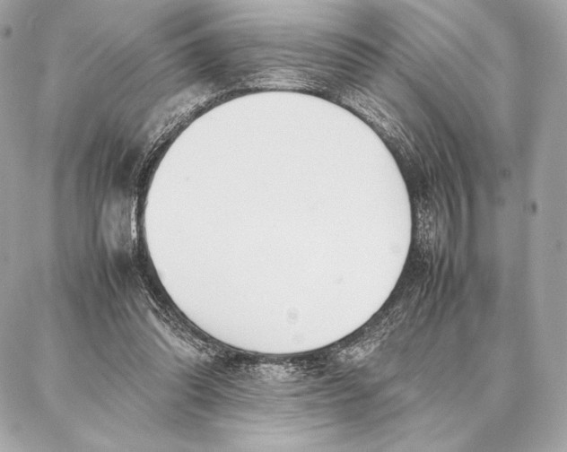 X0000087360302200705111652