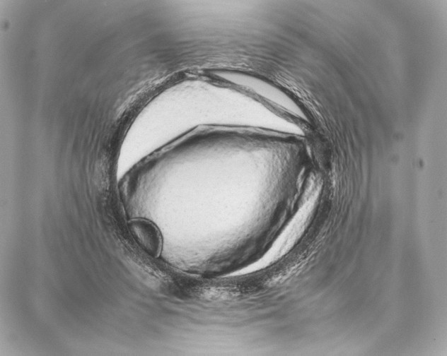 X0000087360303200705111652