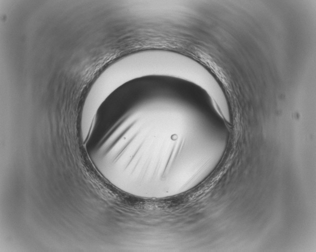 X0000087360305200705111651