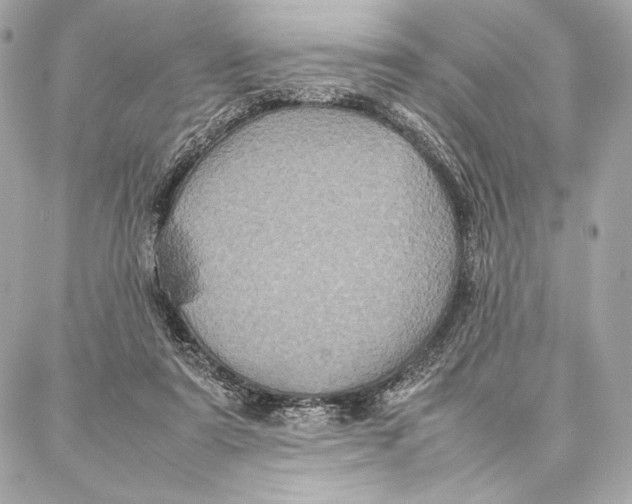 X0000087360307200705111651