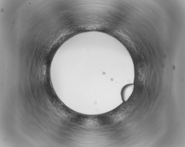 X0000087360308200705111651