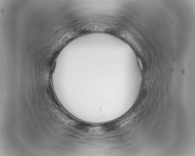 X0000087360309200705111651