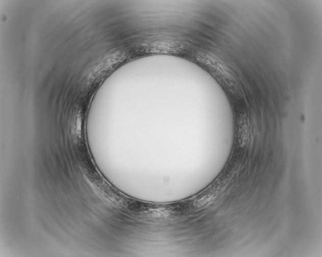 X0000087360310200705111651