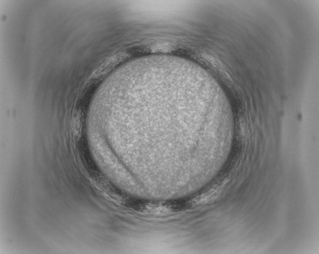 X0000087360311200705111651