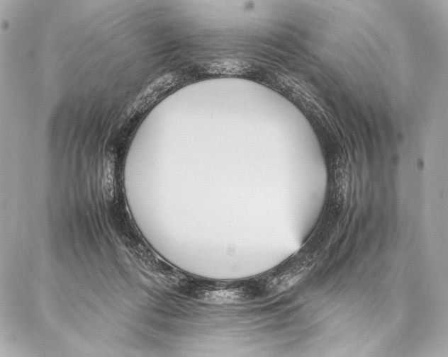 X0000087360312200705111651