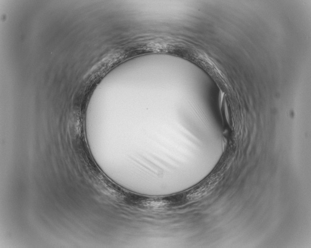 X0000087360313200705111651