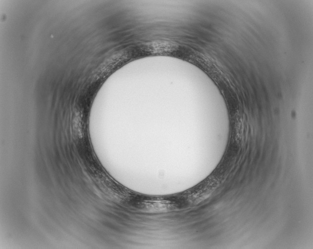 X0000087360316200705111651