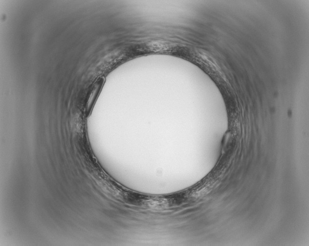 X0000087360317200705111651