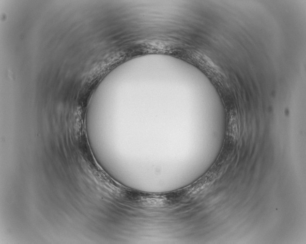 X0000087360318200705111651