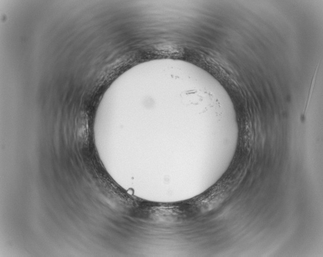 X0000087360320200705111651