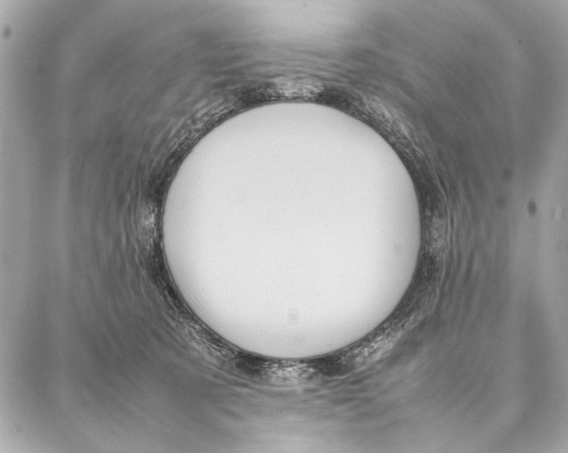 X0000087360321200705111651