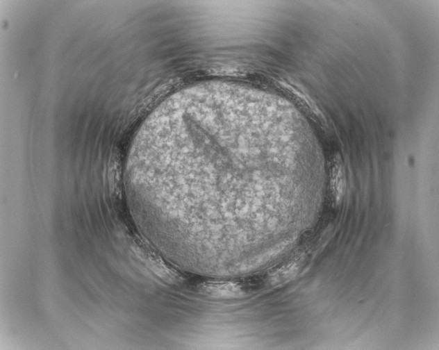 X0000087360322200705111651