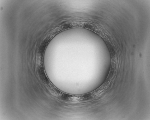 X0000087360323200705111651