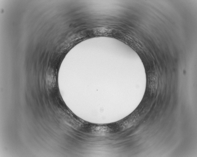 X0000087360324200705111651