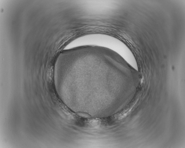 X0000087360325200705111651