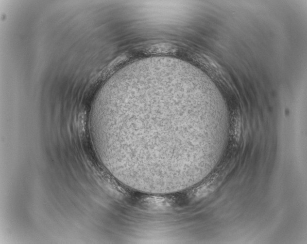 X0000087360326200705111651