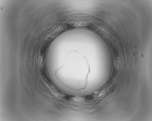 X0000087360327200705111651