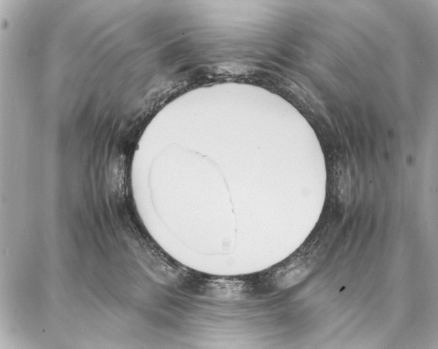 X0000087360328200705111651