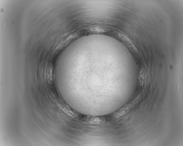 X0000087360330200705111651