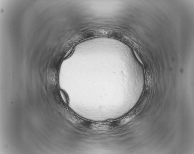 X0000087360331200705111651