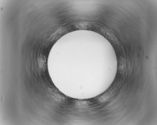 X0000087360332200705111651