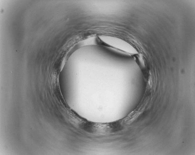 X0000087360333200705111651