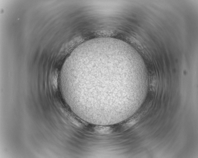 X0000087360334200705111651