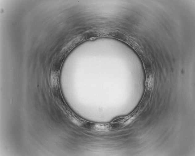 X0000087360335200705111651