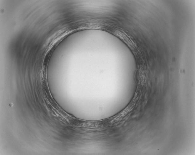 X0000087360338200705111650