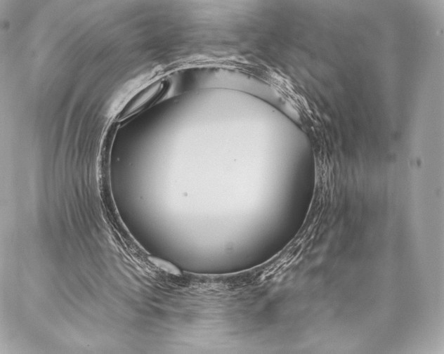 X0000087360340200705111650