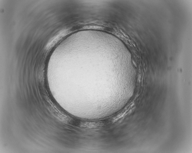 X0000087360341200705111650