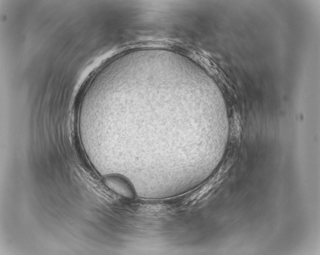 X0000087360342200705111650