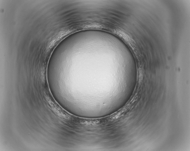 X0000087360345200705111650