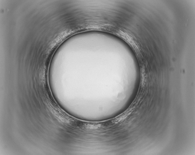 X0000087360346200705111650