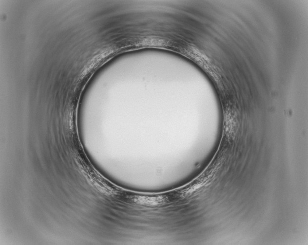 X0000087360347200705111650