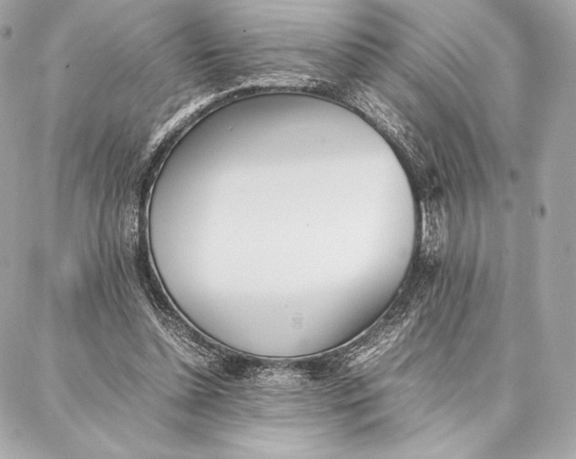 X0000087360348200705111650