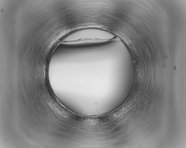 X0000087360350200705111650