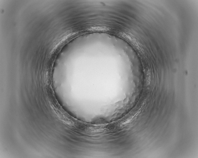 X0000087360351200705111650