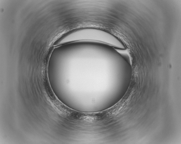 X0000087360352200705111650